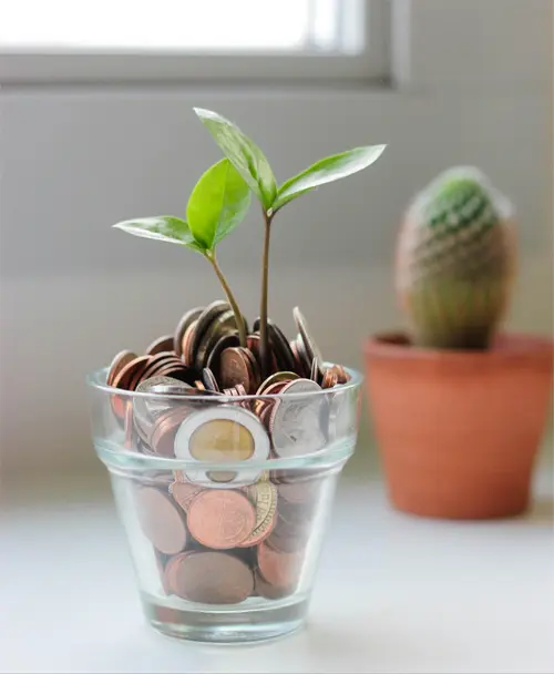 Small investments growing into long-term wealth